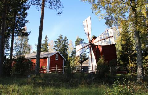 Saloisten kotiseutumuseon pihapiiriä.